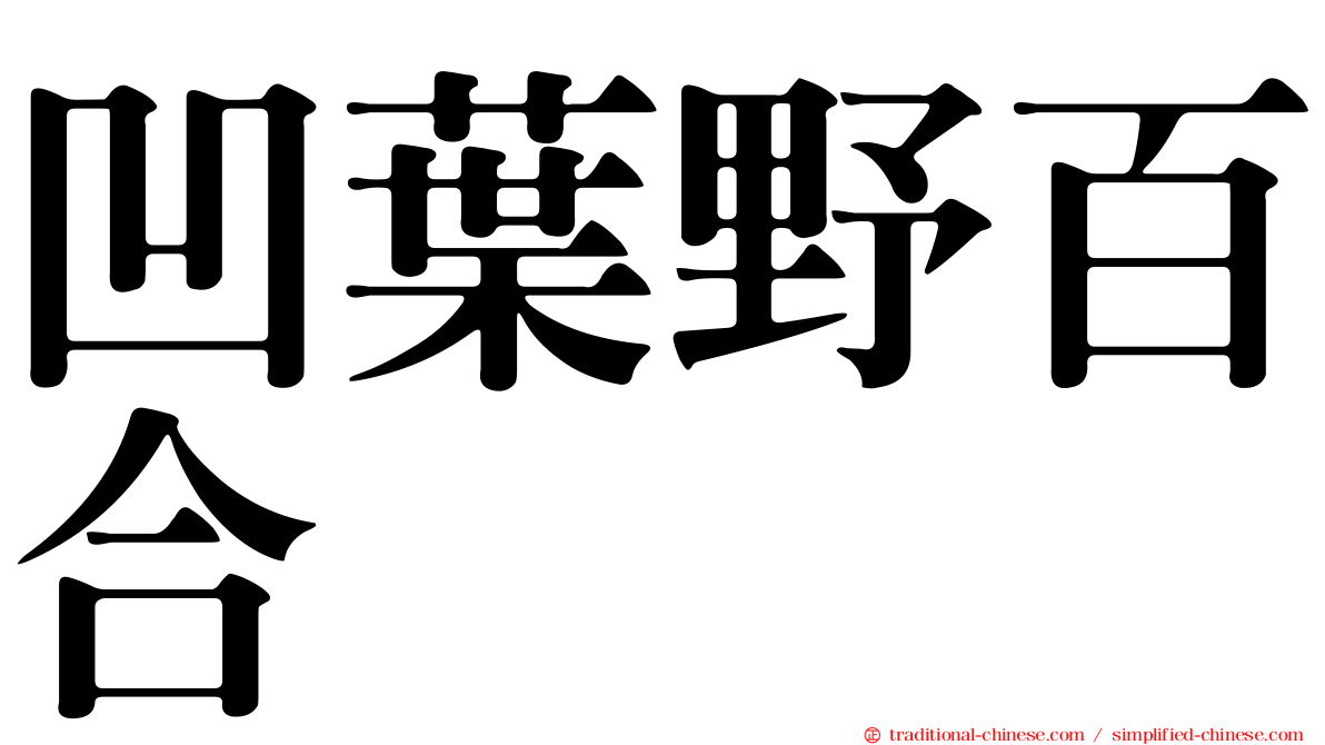 凹葉野百合