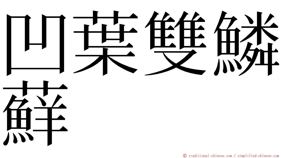 凹葉雙鱗蘚 ming font