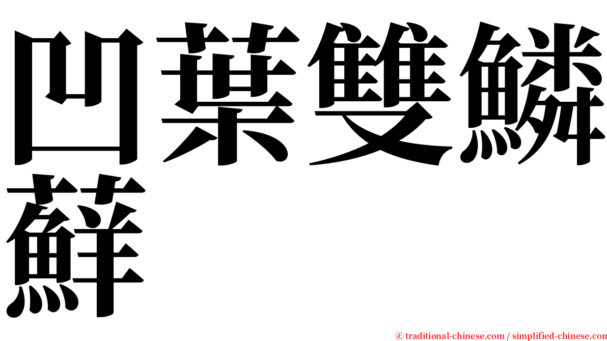 凹葉雙鱗蘚 serif font