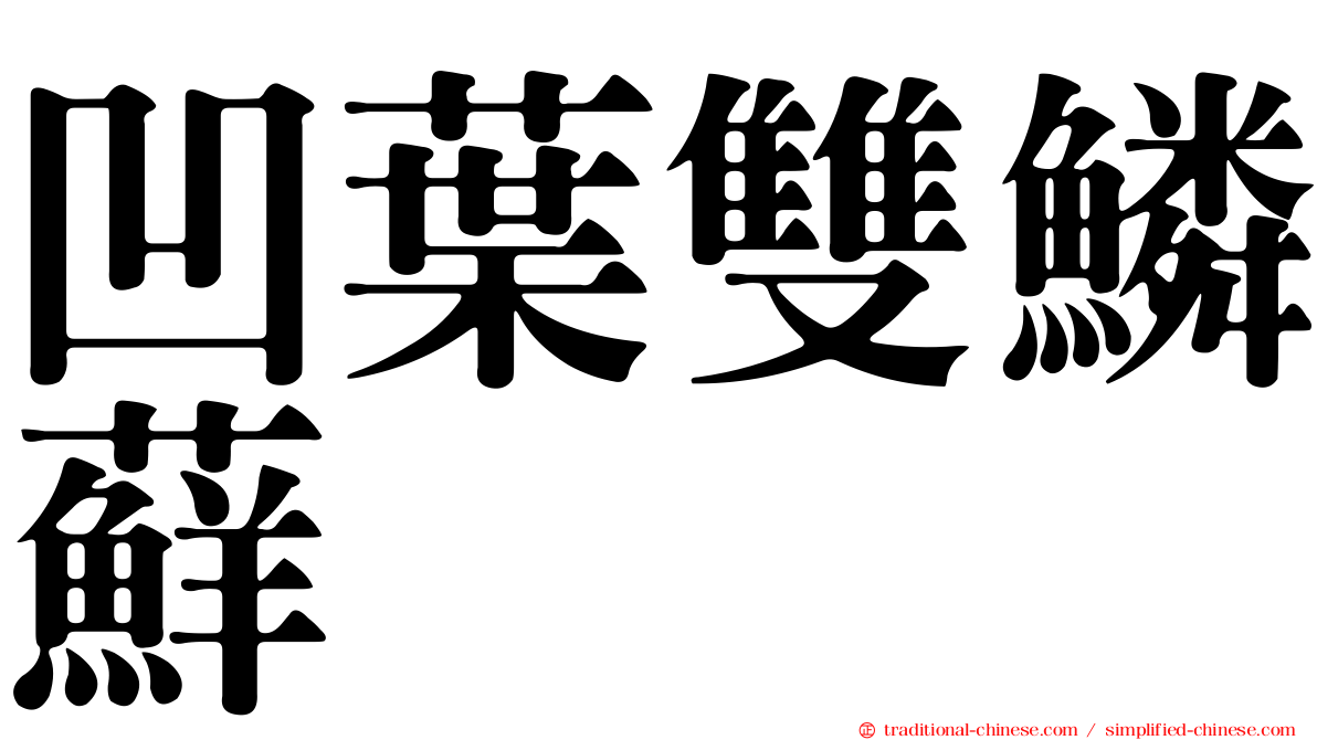 凹葉雙鱗蘚