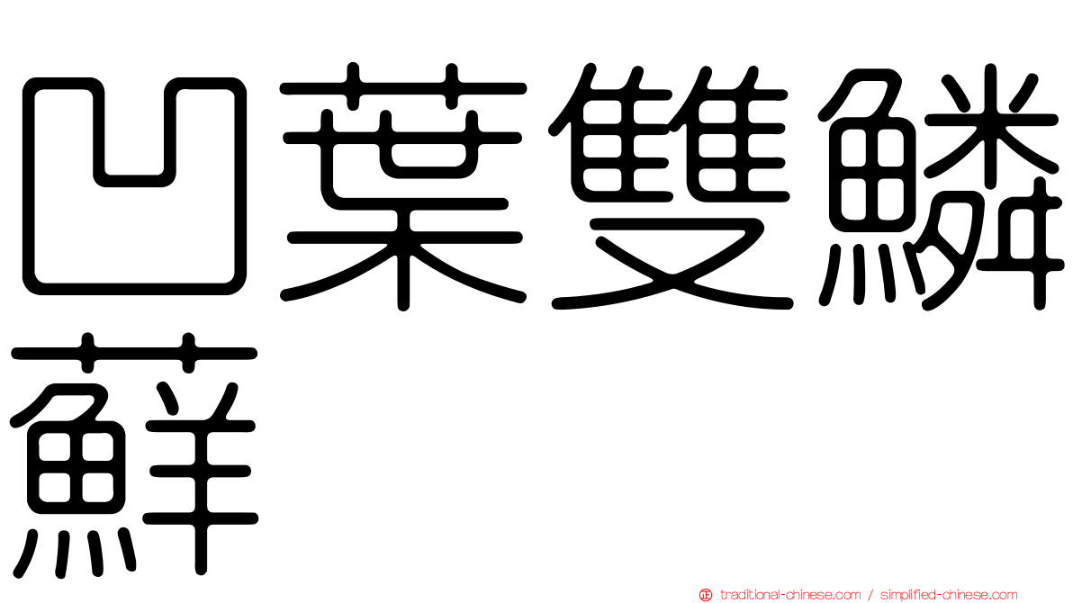 凹葉雙鱗蘚