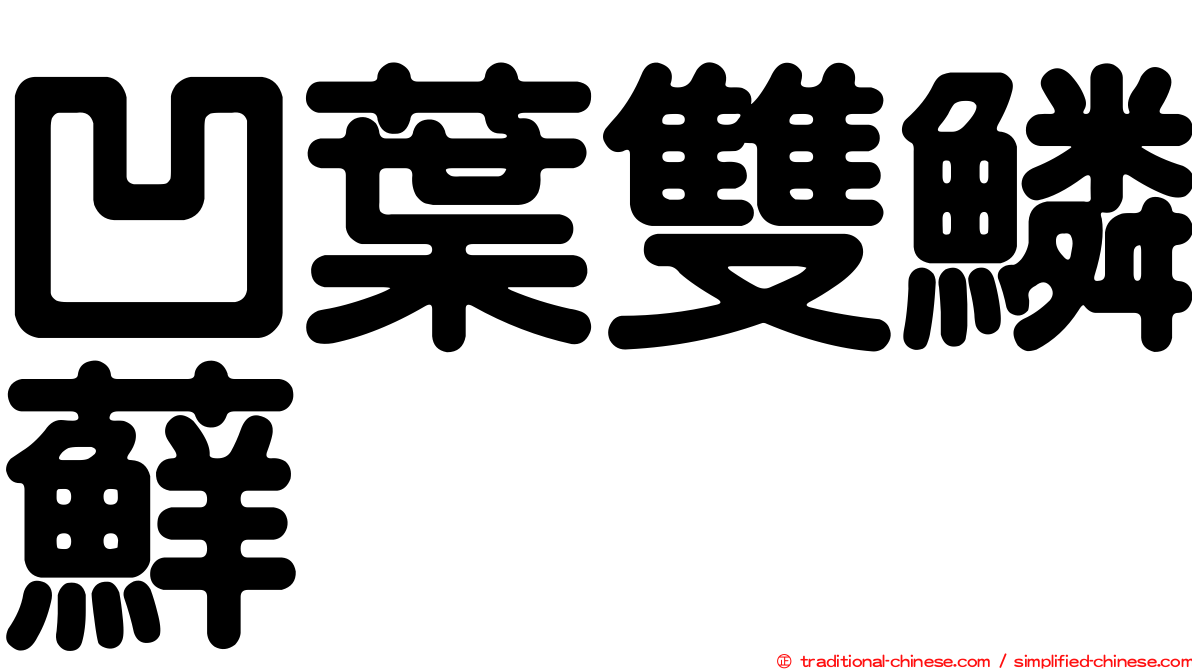 凹葉雙鱗蘚