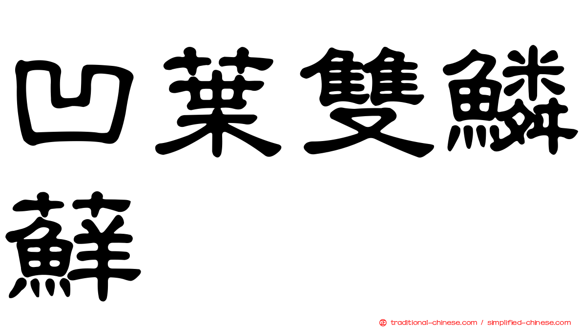 凹葉雙鱗蘚