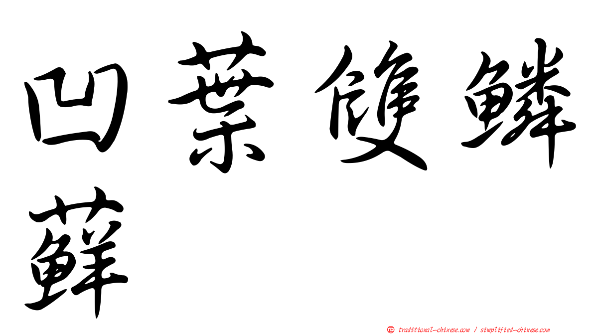 凹葉雙鱗蘚