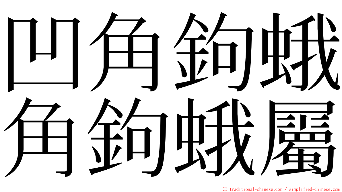 凹角鉤蛾角鉤蛾屬 ming font