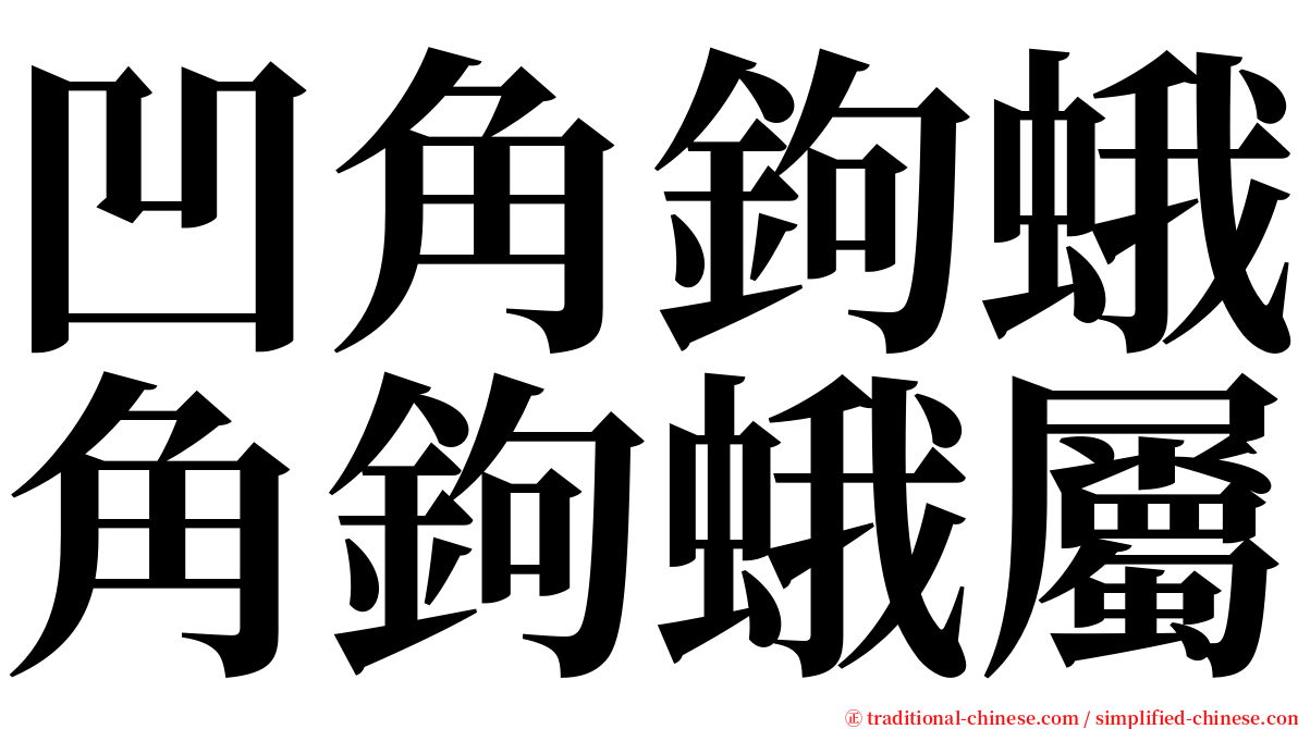 凹角鉤蛾角鉤蛾屬 serif font