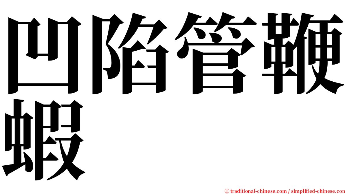 凹陷管鞭蝦 serif font