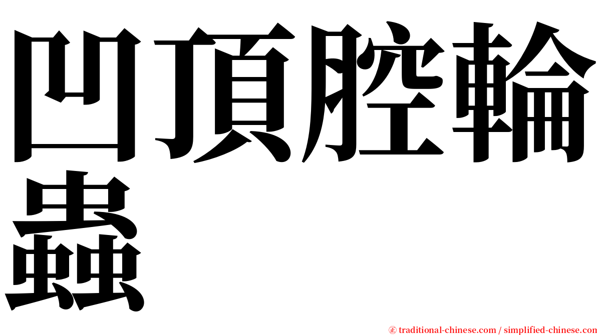 凹頂腔輪蟲 serif font