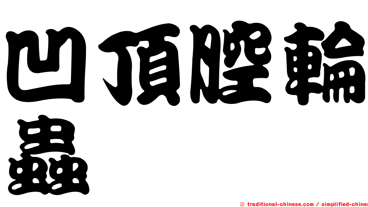 凹頂腔輪蟲