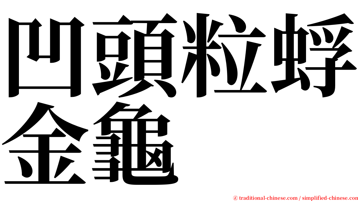 凹頭粒蜉金龜 serif font