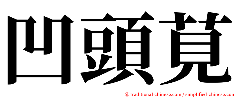 凹頭莧 serif font