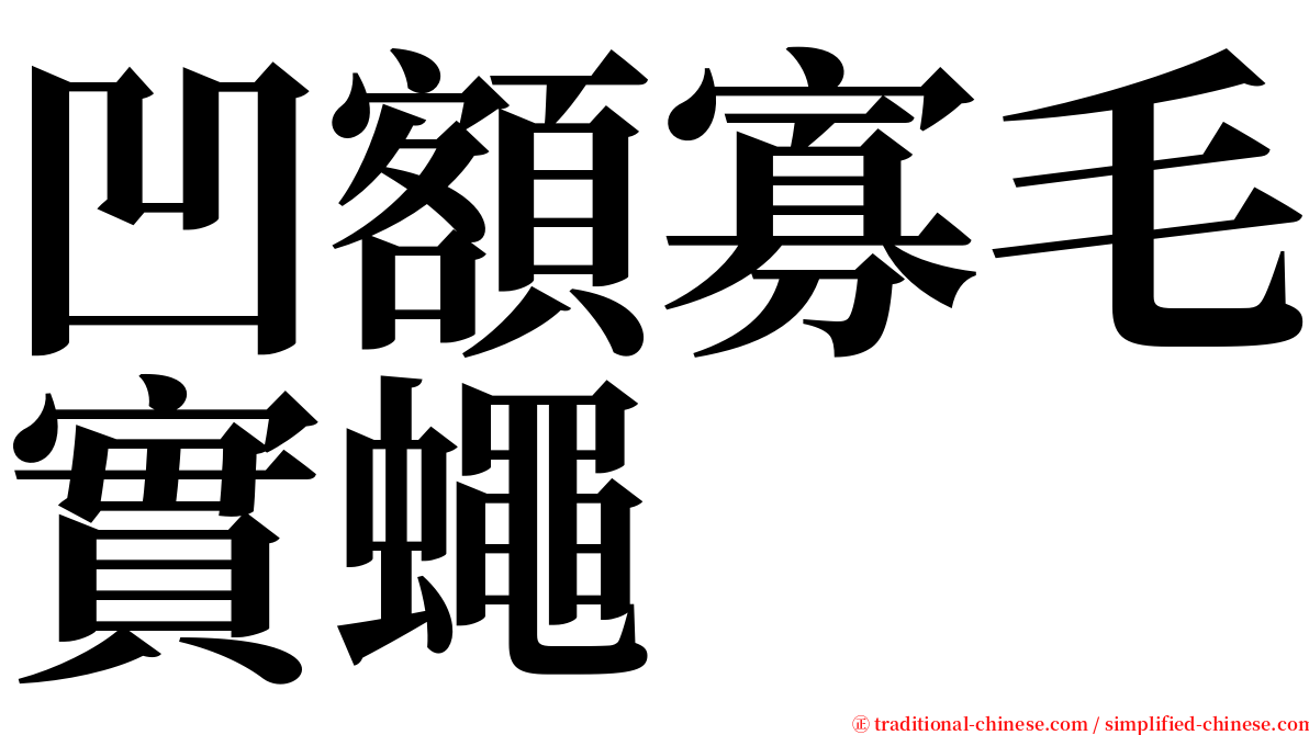 凹額寡毛實蠅 serif font