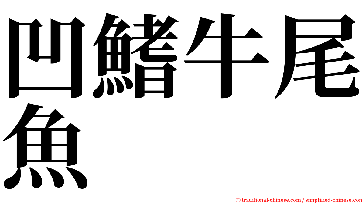 凹鰭牛尾魚 serif font