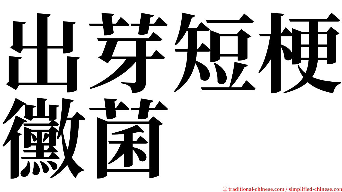 出芽短梗黴菌 serif font