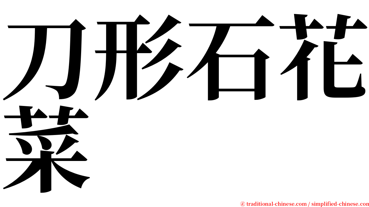 刀形石花菜 serif font