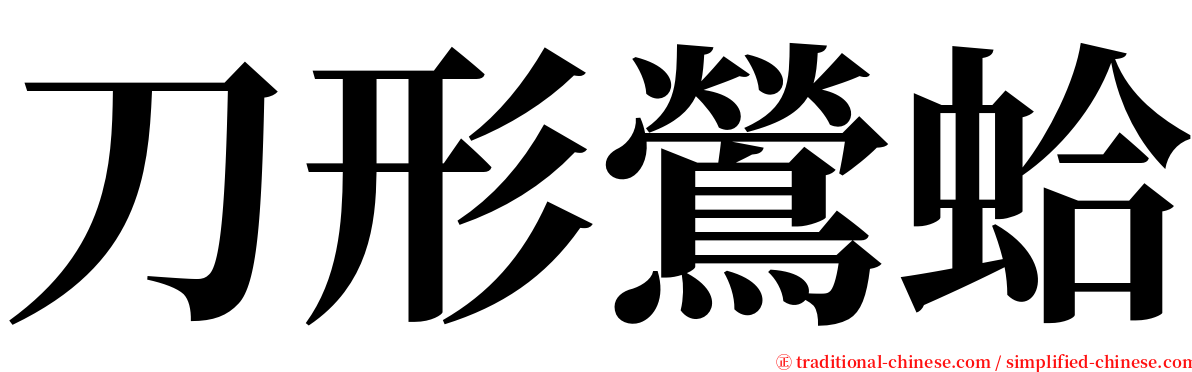 刀形鶯蛤 serif font