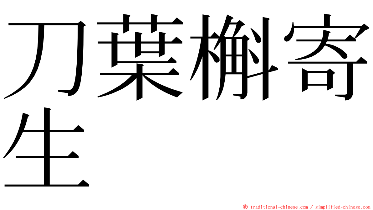 刀葉槲寄生 ming font