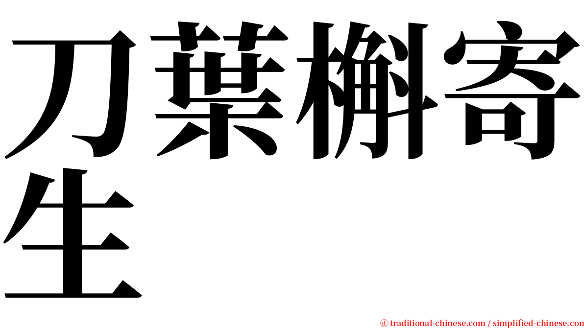 刀葉槲寄生 serif font