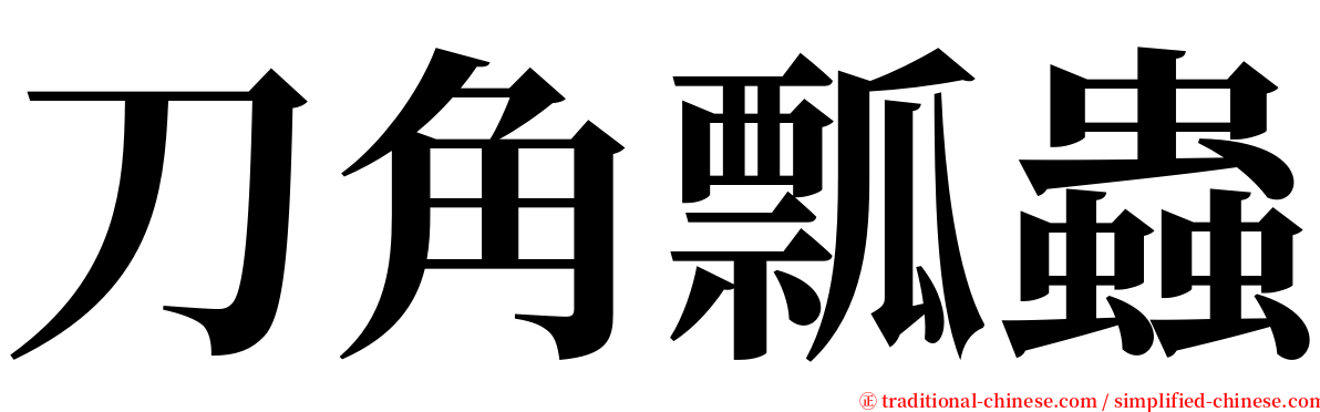 刀角瓢蟲 serif font