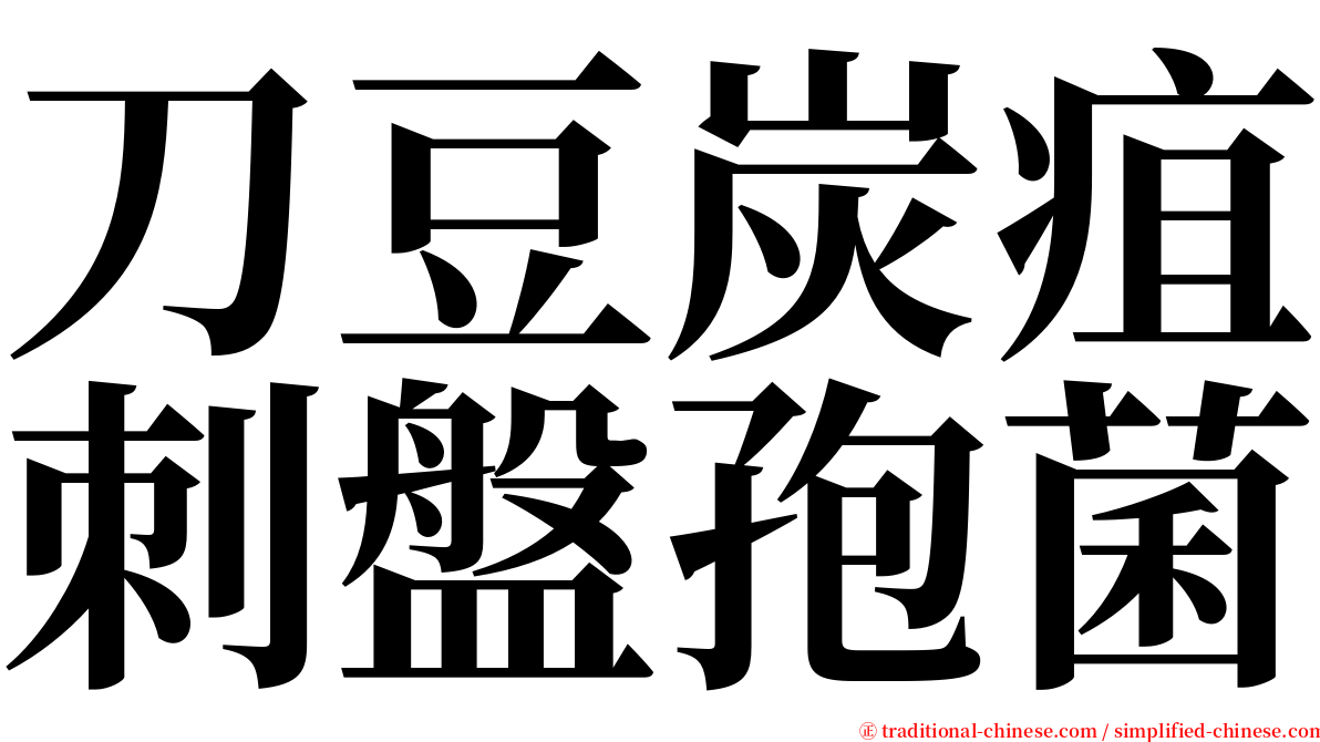 刀豆炭疽刺盤孢菌 serif font