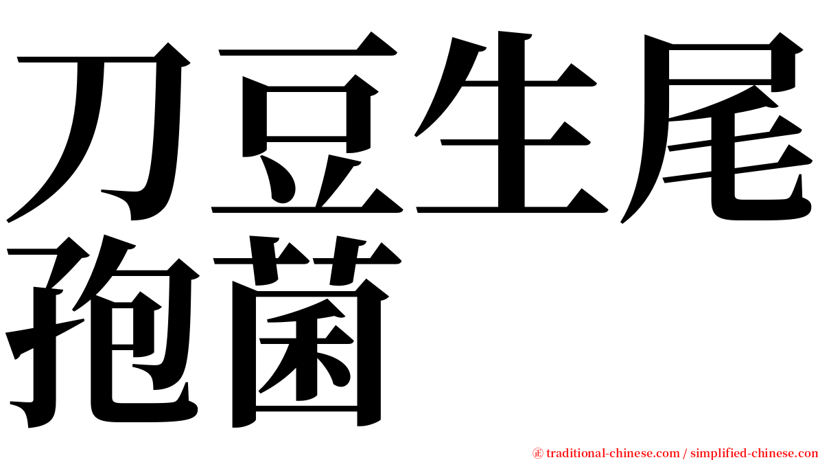 刀豆生尾孢菌 serif font