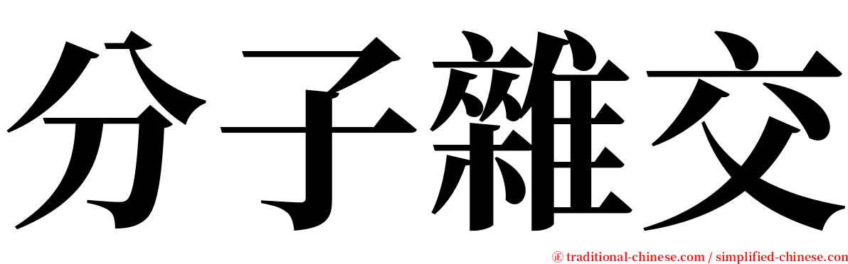 分子雜交 serif font