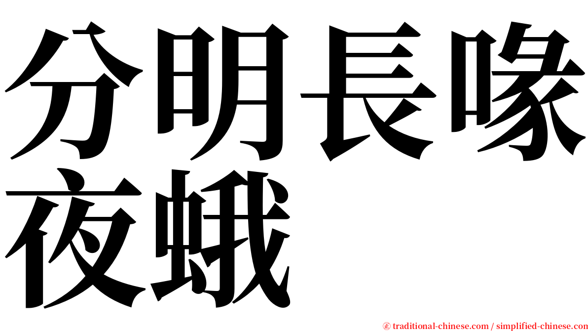 分明長喙夜蛾 serif font