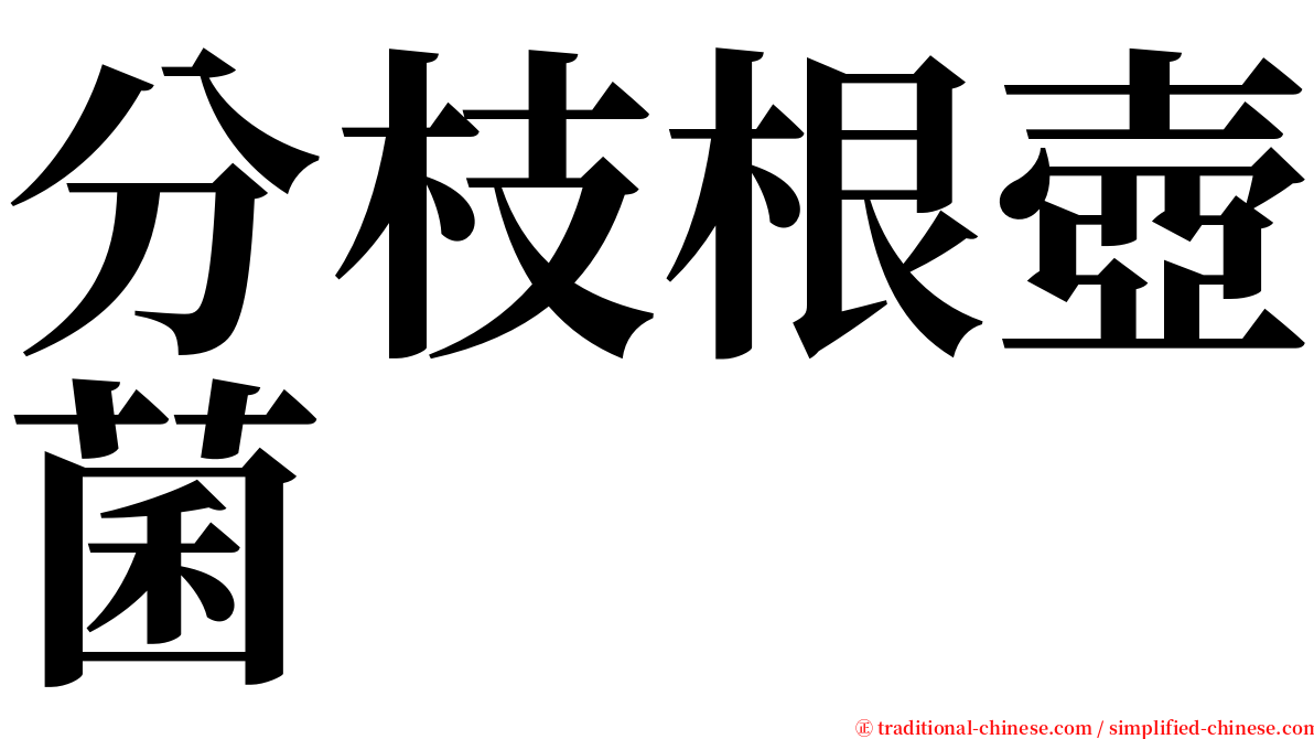 分枝根壺菌 serif font