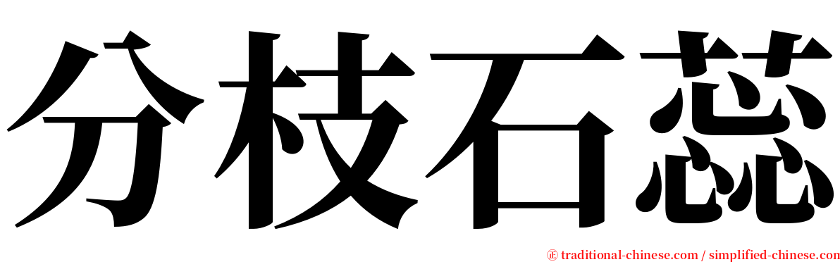 分枝石蕊 serif font