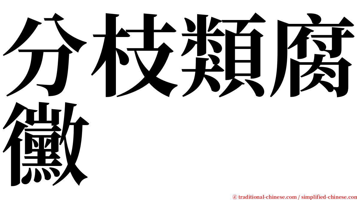 分枝類腐黴 serif font