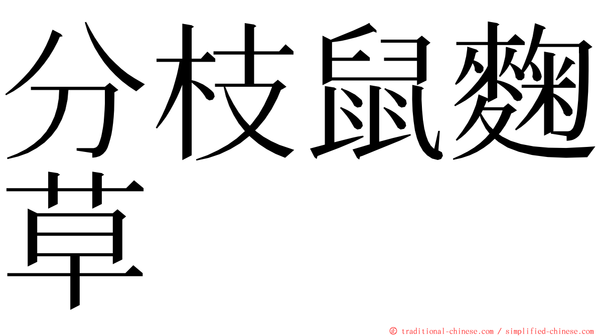 分枝鼠麴草 ming font