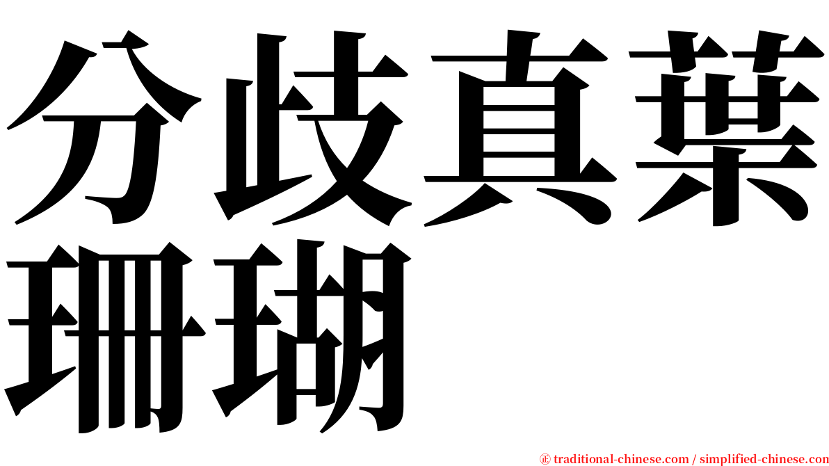 分歧真葉珊瑚 serif font