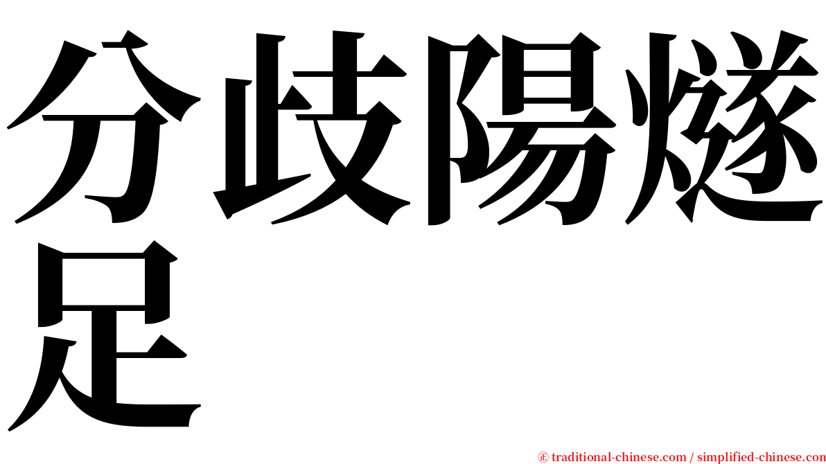 分歧陽燧足 serif font