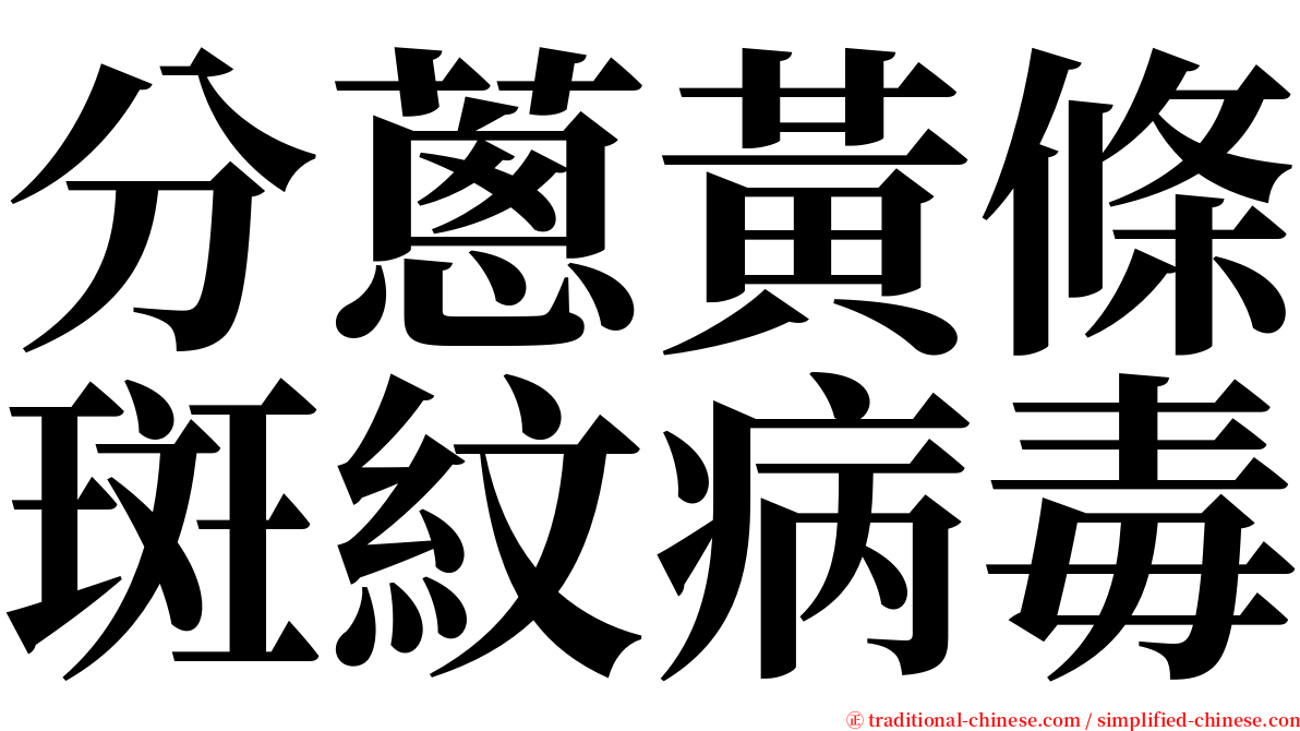 分蔥黃條斑紋病毒 serif font