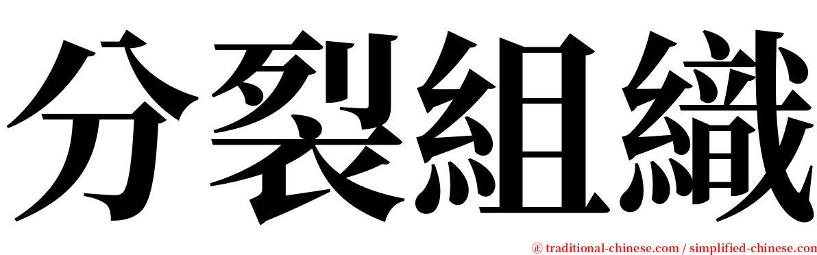 分裂組織 serif font