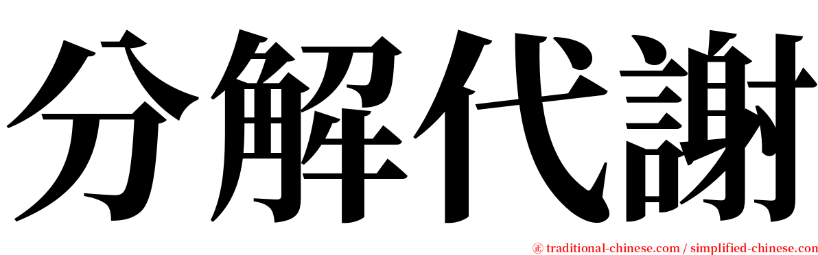 分解代謝 serif font