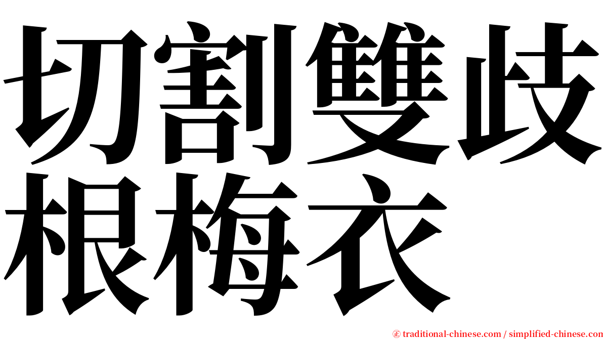 切割雙歧根梅衣 serif font