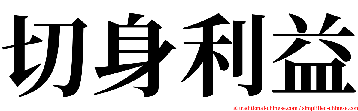 切身利益 serif font