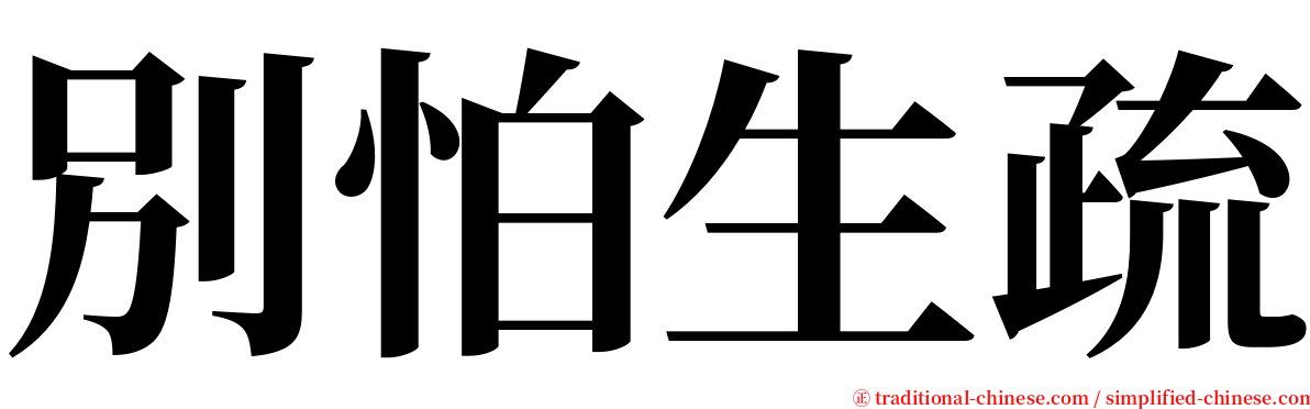 別怕生疏 serif font