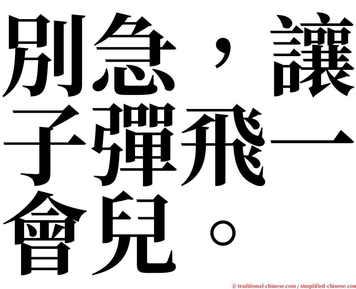 別急，讓子彈飛一會兒。 serif font