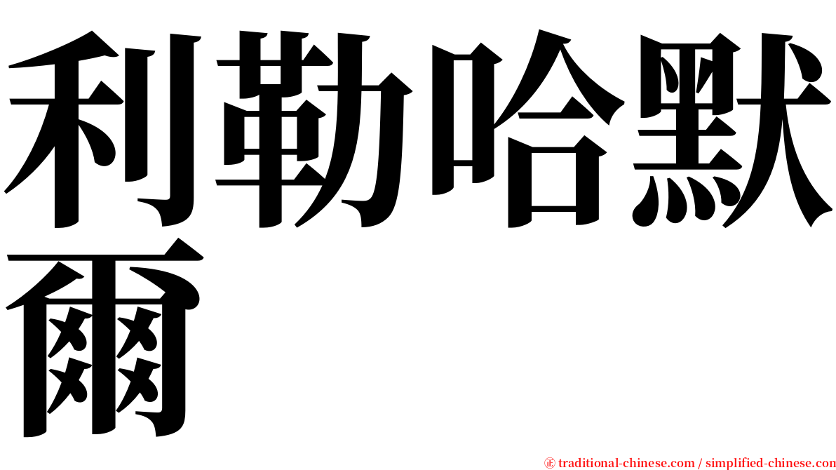 利勒哈默爾 serif font