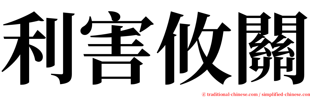 利害攸關 serif font