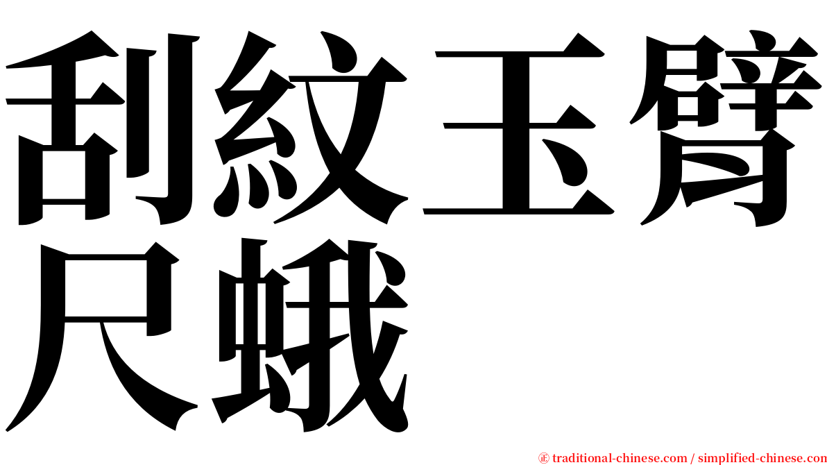 刮紋玉臂尺蛾 serif font