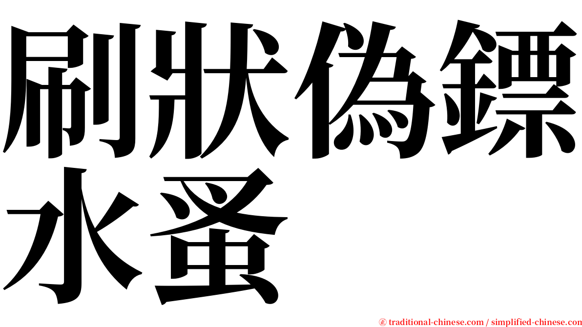 刷狀偽鏢水蚤 serif font