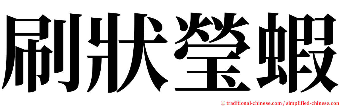 刷狀瑩蝦 serif font