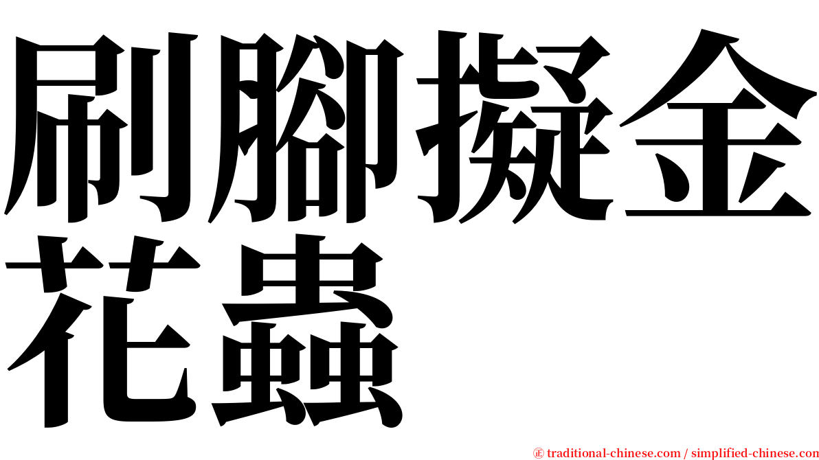 刷腳擬金花蟲 serif font