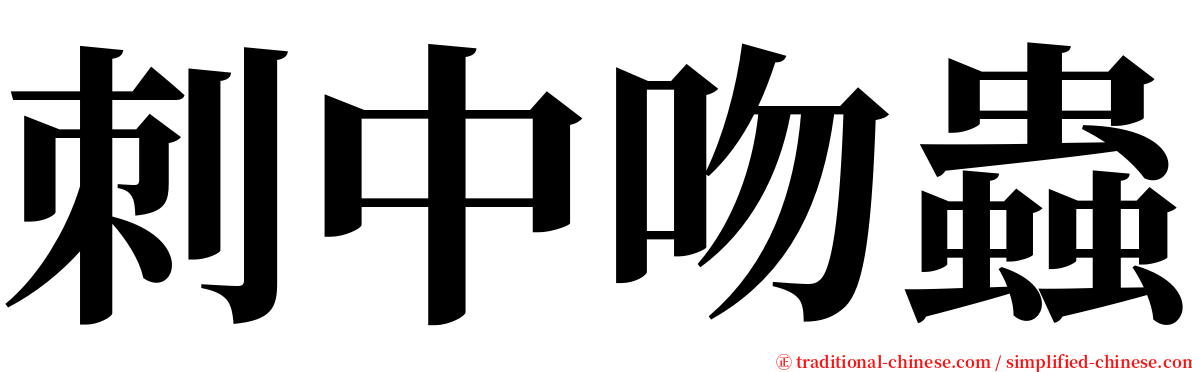 刺中吻蟲 serif font