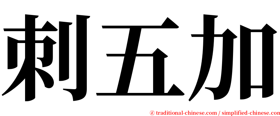 刺五加 serif font