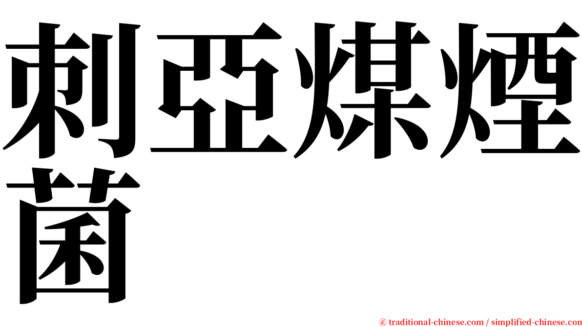 刺亞煤煙菌 serif font