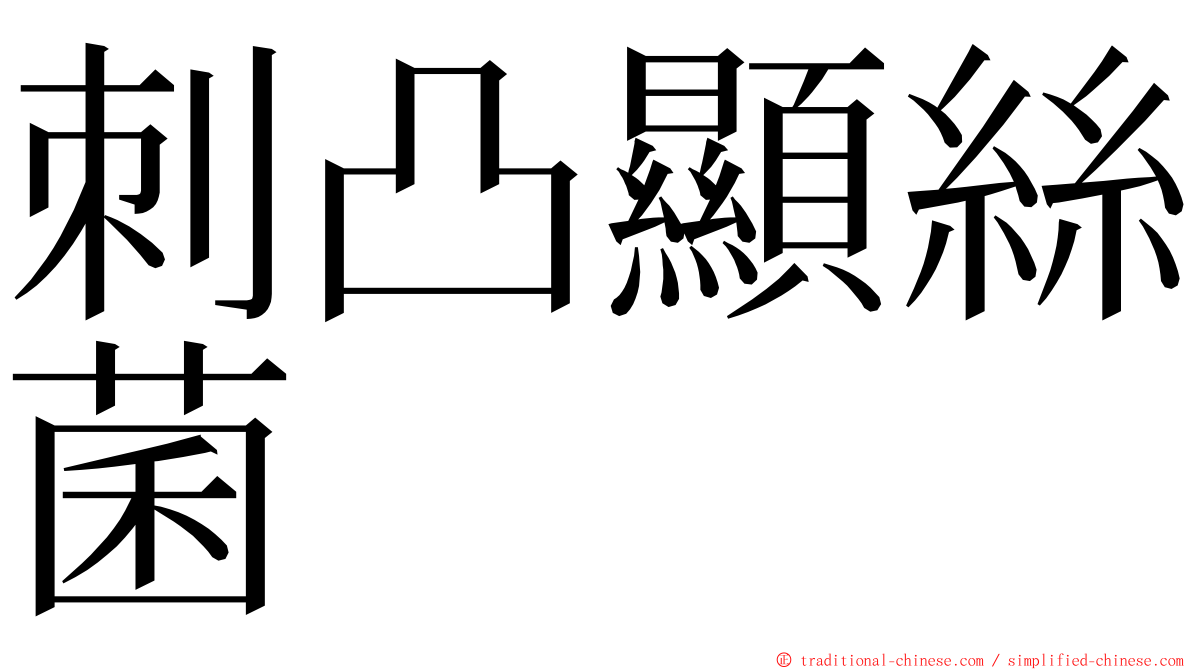 刺凸顯絲菌 ming font